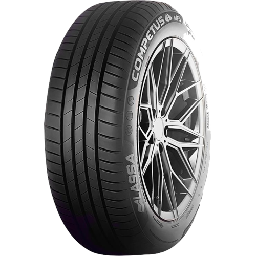 225/55R19 99V  Competus H/P 3