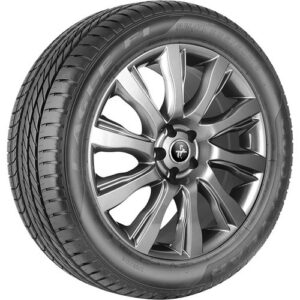 eaglef1asymmetric-500x500-2.jpg 265/35R19 94Y Eagle F1 Asymmetric N0 FP